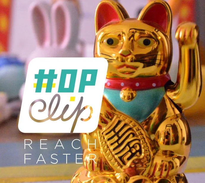 Screenshot of HOPCLIP project